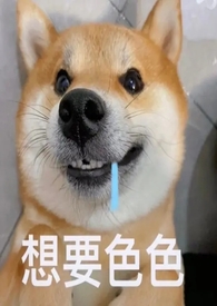 当她的狗(1V2)