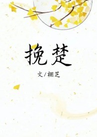 挽楚(H)